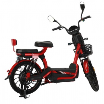 48V 60V 20A Lead-Acid Battery Electric Bicycle 800W High Power E-Bike 20 Inch Electric Motorcycle with Front Basket