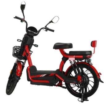 48V 60V 20A Lead-Acid Battery Electric Bicycle 800W High Power E-Bike 20 Inch Electric Motorcycle with Front Basket