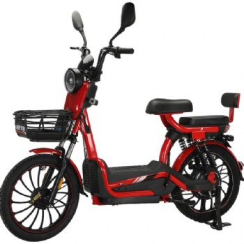 800W Powerful Electric Bicycle 48V 60V 20Ah Long Range 85KM Electric Bike 20 Inch Urban Commuter E-Bike with Basket for Adults